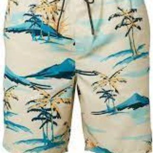 O'Neill Men's Cabana Volley Board Shorts